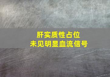 肝实质性占位 未见明显血流信号